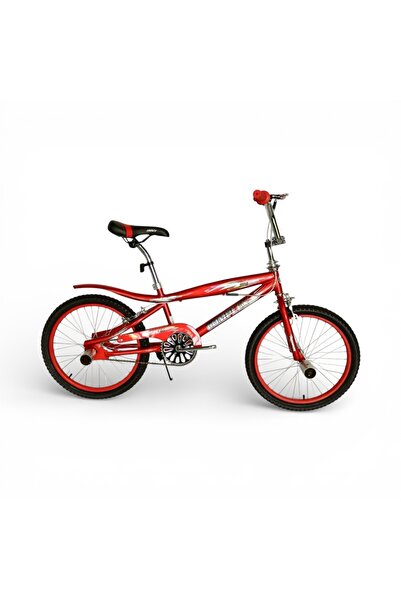 COMPLEX A 20-inch children's sports bike with a distinctive professional BMX ...