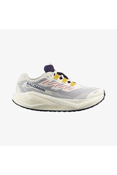 Salomon AERO BLAZE 3 GRVL Kadın Koşu Ayakkabısı Vanilla Ice L47974100