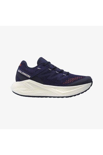 Salomon AERO GLIDE 3 GRVL Kadın Koşu Ayakkabısı Astral Aura L47870600