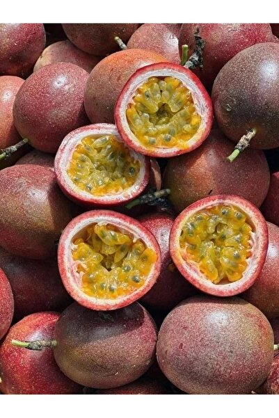 Tropik Dükkanım Dalından Taze Pasiflora(Çarkıfelek) Meyvesi 1 KG