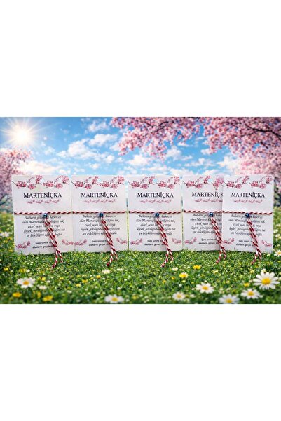 YELPAZE DÜNYASI Marteniçka Bileklik 5 li Set