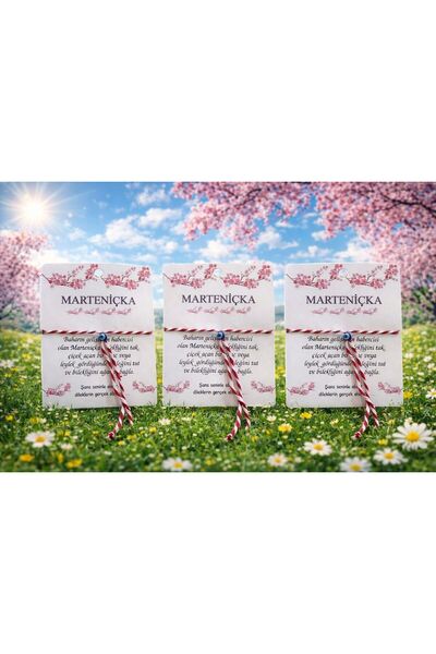 YELPAZE DÜNYASI Marteniçka Bileklik 3 lü Set