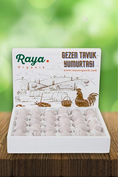 Raya Organik Gezen Tavuk Yumurtası