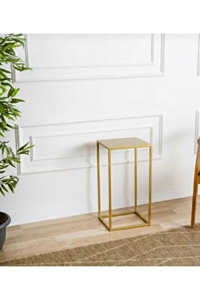 AydınMetal Metal Kare Sehpa Saksılık Modern Minimal Çiçeklik Sehpası - Yüksek...