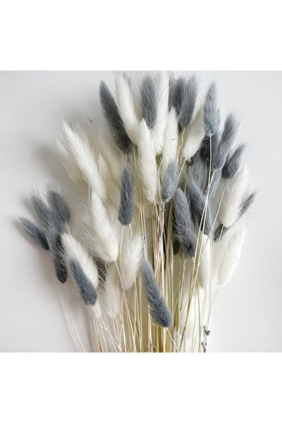 Dekora Çiçek Dried Cotton Grass Rabbit Tail Bridal Bouquet Arrangement Flower...