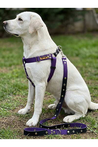 balkonda Dog Chest Harness Adjustable and Leash Set of 2 Medium & Large Breeds