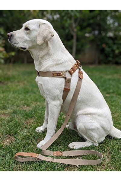 balkonda Dog Chest Harness Adjustable and Leash Set of 2 Medium & Large Breeds