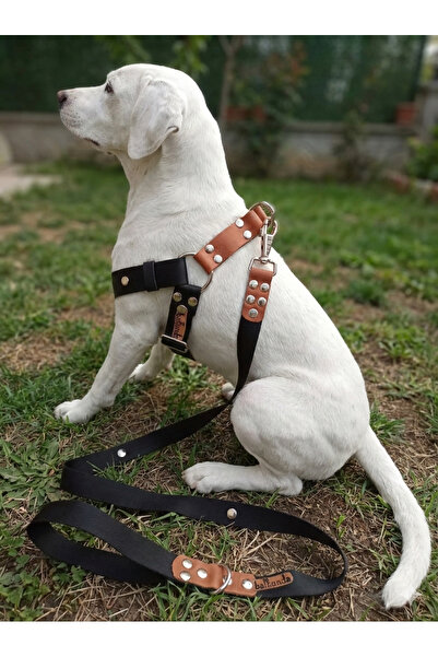 balkonda طوق صدر للكلاب قابل للتعديل وحزام للتنقل، مجموعة من قطعتين للسلالات ...