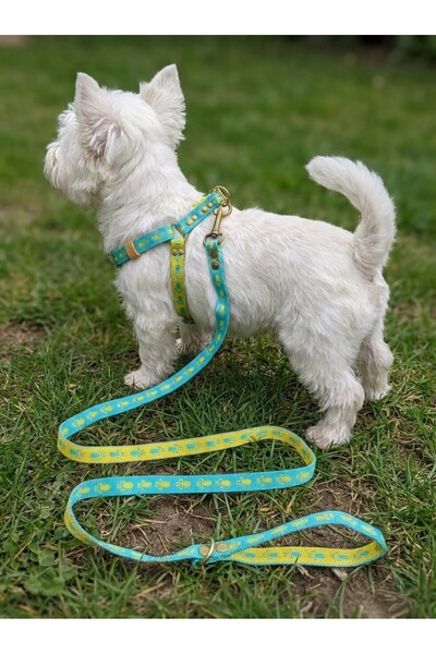 balkonda Dog Chest Harness Adjustable and Walking Strap Set of 2 for Small & ...