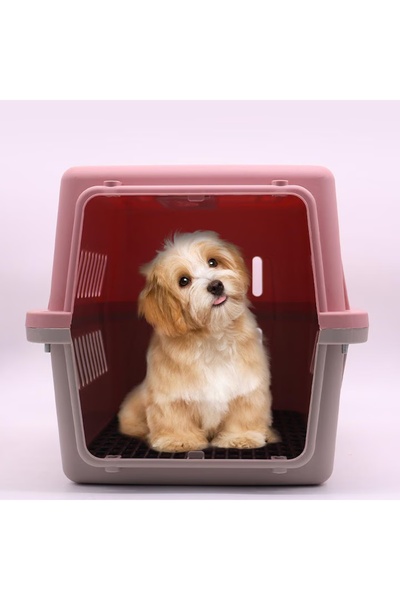 FOXMAG24 Cușcă de transport pentru câini și pisici Nunbell, PP durabil, ușă d...