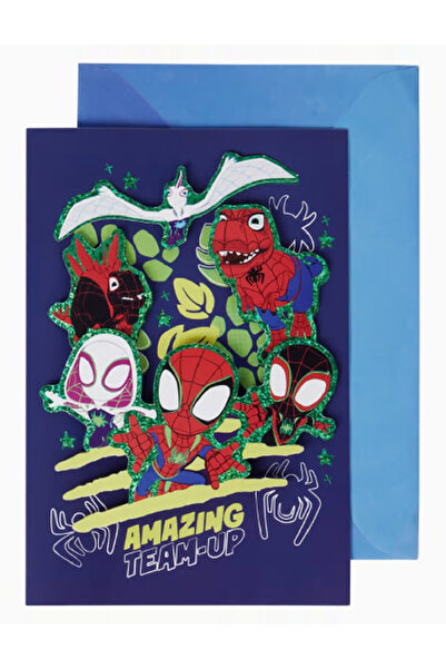 Evendi Greeting Card, Mix Colors