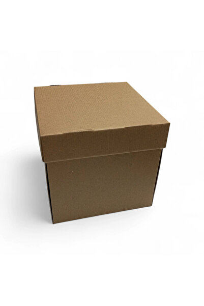 BENS صندوق كيك بغطاء 10 قطع - 21v21x20h