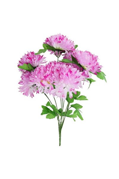 Goliat Bukiet 9 chryzantem strzępiastych w kolorze fioletowym