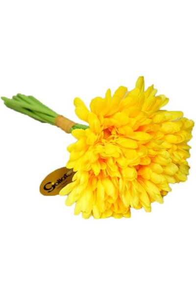 Goliat Bukiet Gerber, GRB-P73