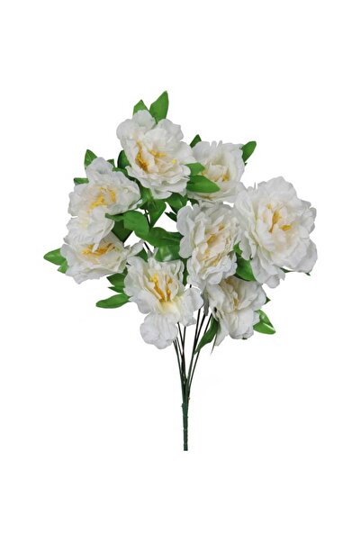 Goliat Buchet de 9 bujori albi