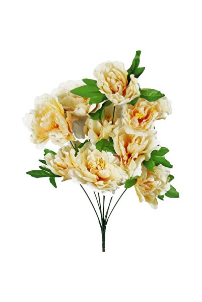 Goliat Bukiet 9 piwonii w kolorze kremowe