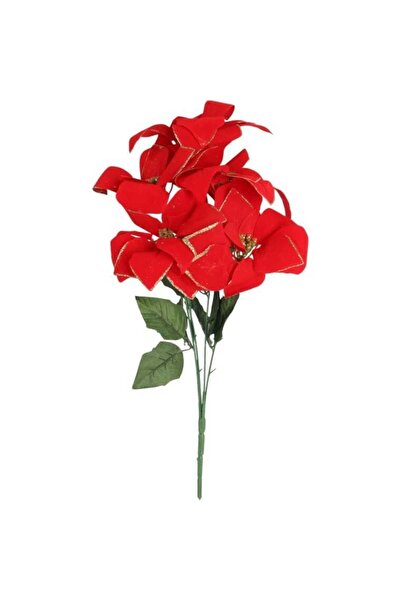 Goliat Bukiet 5 POINSECJI WELUROWYCH 56 cm KOLOR CZERWONY