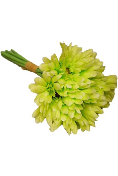 Goliat Bukiet Gerber, GRB-B7