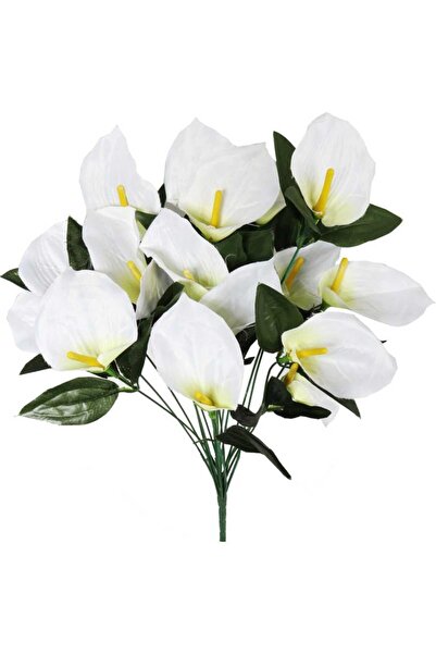 Goliat Bukiet 12 anturium w kolorze białym