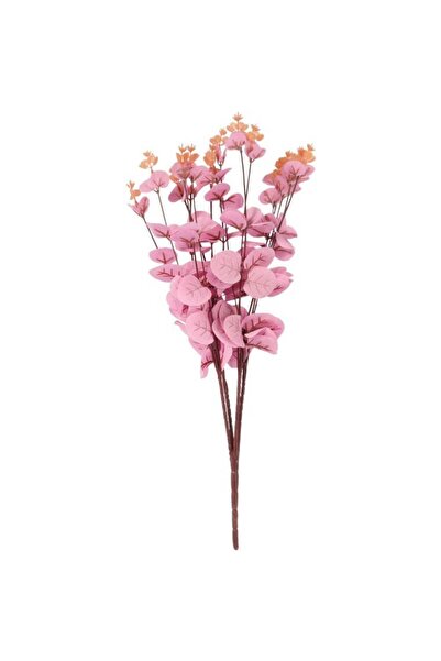 Goliat Bukiet liści EUCALYPTUSA w kolorze RÓŻOWYM 50 cm