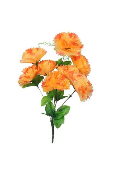 Goliat Bukiet 9 goździków z wąsami kolor pomarańczowy