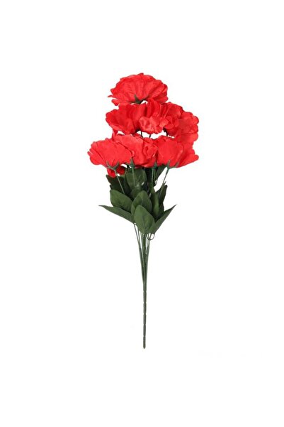 Goliat Bukiet 9 GOŹDZIKÓW w kolorze CZERWONYM 54 cm