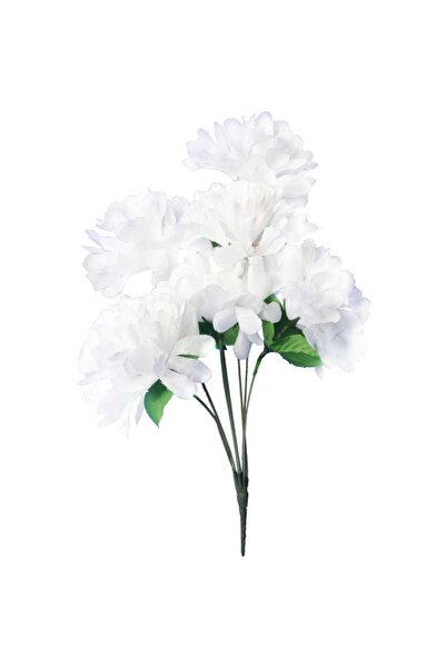 Goliat Bukiet 7 chryzantem w kolorze białym