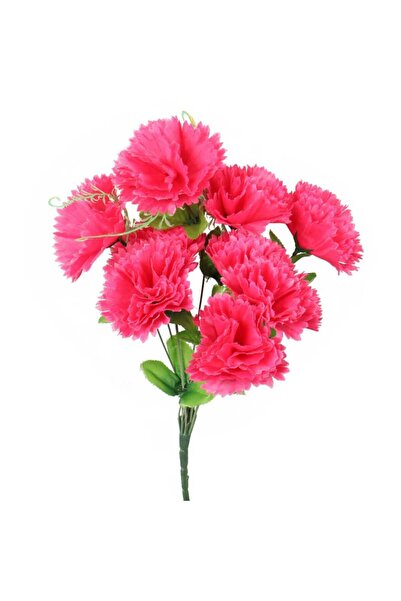 Goliat Bukiet 9 goździków z wąsami kolor różowy