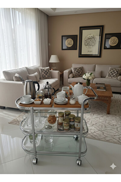 private house Modern serving trolley, stainless steel, premium glass, mobile ...