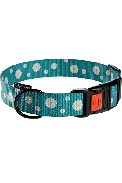 Other Zgardă Câini Nylon - Reglabilă, Cataramă Eliberare Rapidă - 30,5-40,6 c...