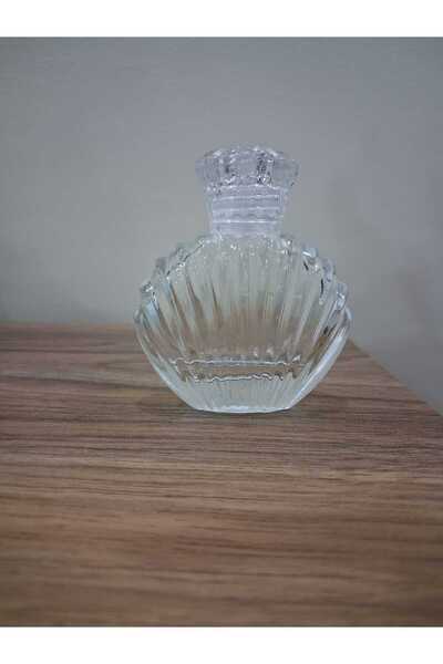 Kateleya Midye kolanya şişe 10 adet