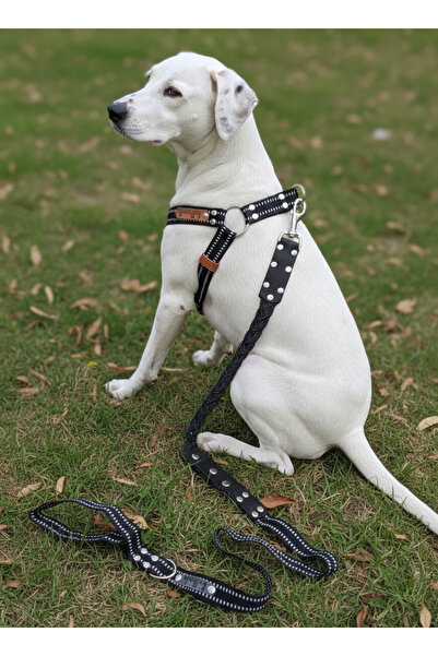 balkonda Dog Chest Harness Adjustable and Leash Set of 2 for Small, Medium & ...