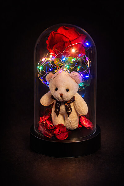 Gerenic GÜLLÜ AYICIK ÖZEL TASARIM HATIRA KUTUSU