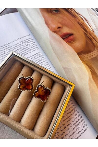 MODA Çelik 2 cm Kahve Rengi Yonca Küpe