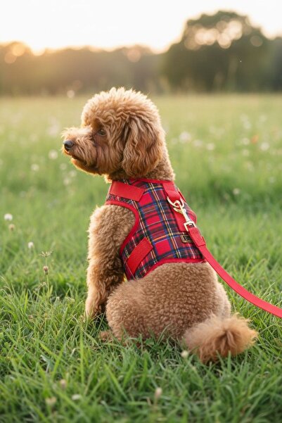 BiBa Pet Ekose Köpek Göğüs Tasması Seti Çekiştirme Önleyici/Nefes Alan Kumaş/...