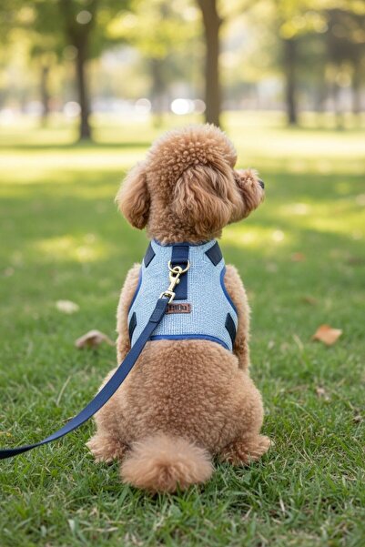 BiBa Pet طقم طوق للكلاب من جين يتضمن حزام مضاد للسحب/قماش قابل للتنفس/حزام للمشي