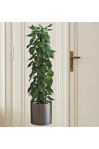 NW NessiWorld albastru cobalt ılı Imagine autocolantă cu design vegetal 90*30...