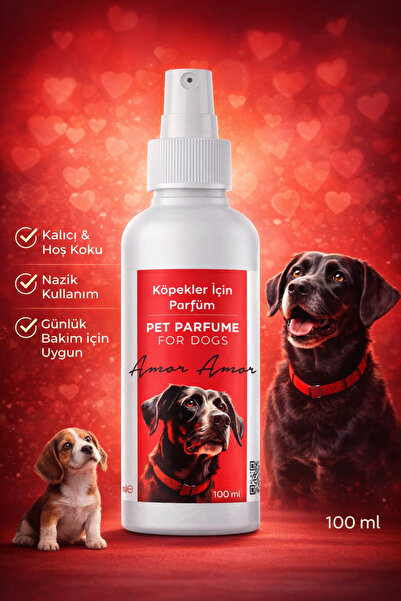 PawX Amor Amor Köpek Parfümü 100 ml – Kalıcı & Etkileyici Günlük Bakım Koku S...