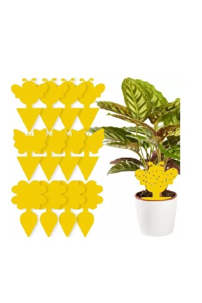 EBA Set de 12 benzi adezive pentru muște și insecte, eBA®