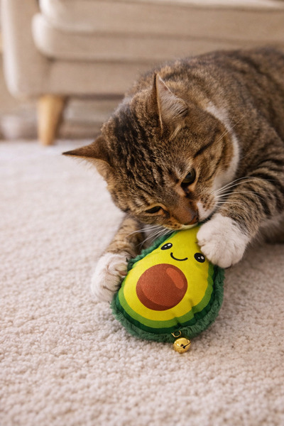 PawX Zilli Avokado Kedi Oyuncağı – Dayanıklı Kumaşlı, Elyaf Dolgulu, Eğlencel...