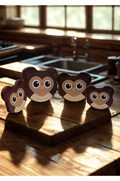Mutluluk Kutunda Var 4-Piece Owl Figured Storage Container