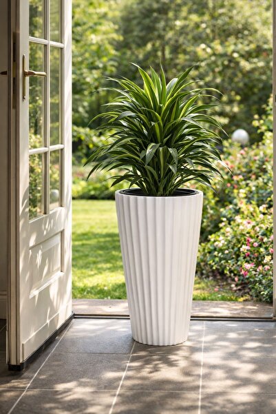 Alezy Lilyum Dekoratif Çizgili Saksı Vazo 58cm