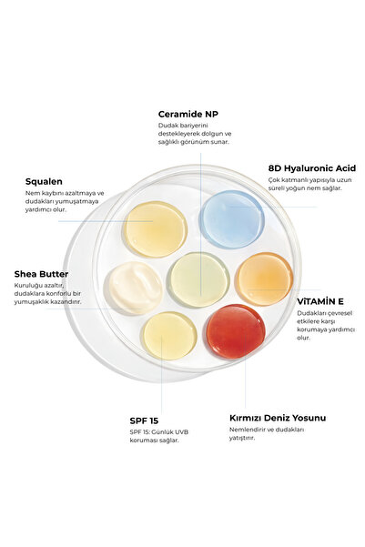 WIWIFY Hydrating Lip Balm SPF 15, Şeffaf & Parlak Bitişli Güneş Korumalı Dudak Bakımı
