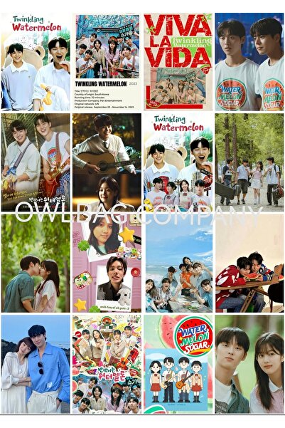 OWLBAG COMPANY OWL BAG twinkling watermelon desenli tasarım 16 'lı fotokart seti