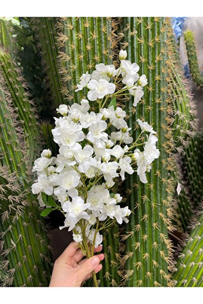 KOZALILAR Doğal Görünümlü 90 cm Yapay Sakura Bahar Dalı