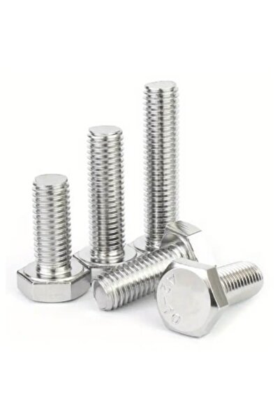 OEM Capac metric Surub hexagonal 10x100 (set 50 buc)