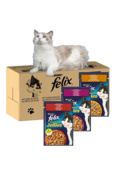 FELIX PURINA Sensation: Arome de la țară - Hrană pentru pisici - 120 x 85 g