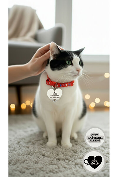 GAGGA GIFT Kişiye Özel Kalp Figürlü Pleksi Kedi & Köpek Künyesi – İsim ve Num...