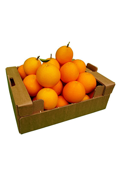 Trablus Portakal 1 kg