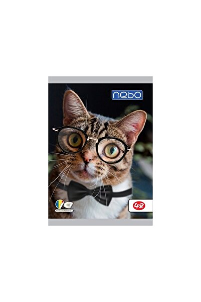 PlayFun Caiet A5 48 File Veline